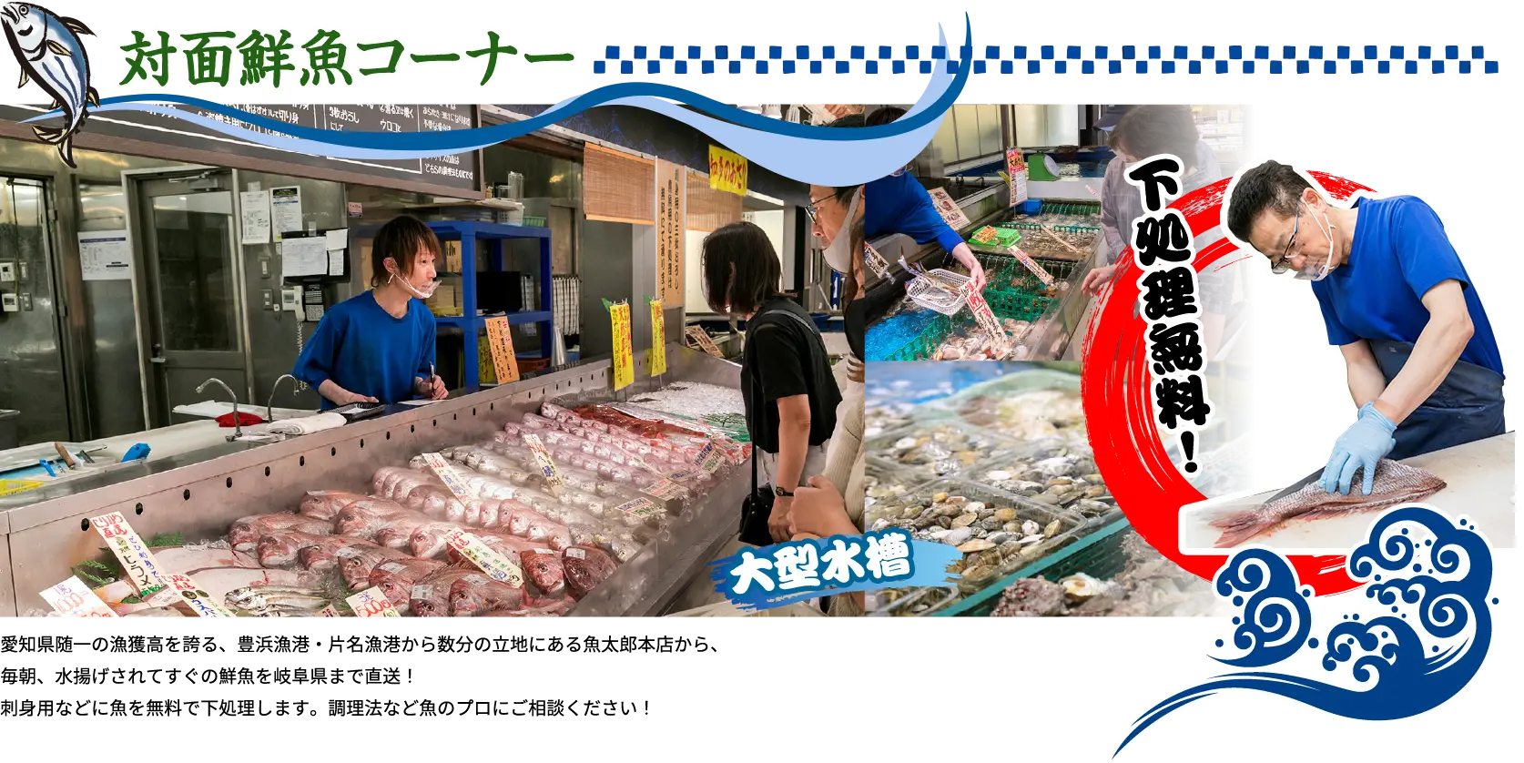 下処理無料！ 愛知県随一の漁獲高を誇る、豊浜漁港・片名漁港から数分の立地にある魚太郎本店から、毎朝、水揚げされてすぐの鮮魚を岐阜県まで直送！刺身用などに魚を無料で下処理します。調理法など魚のプロにご相談ください！