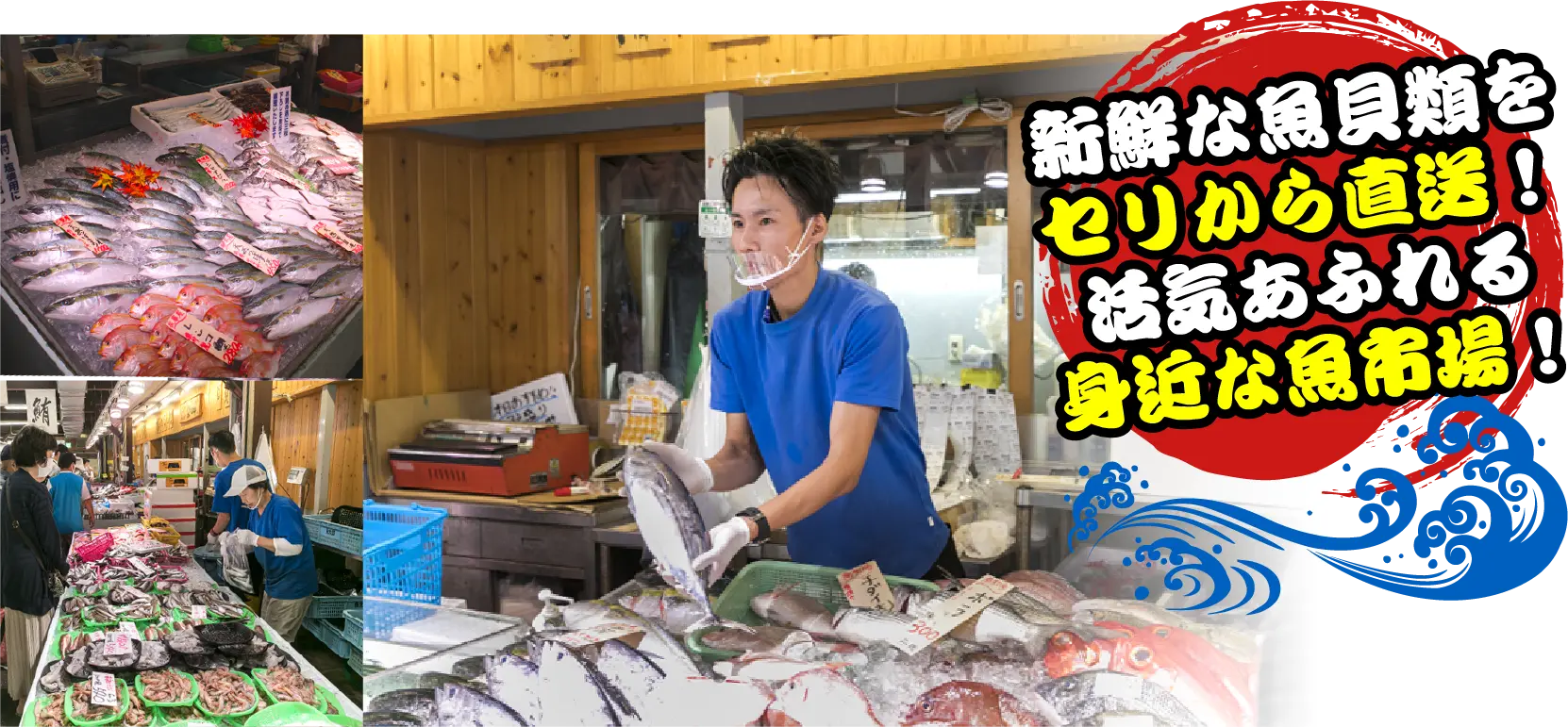 新鮮な魚貝類をセリから直送！活気あふれる身近な魚市場！