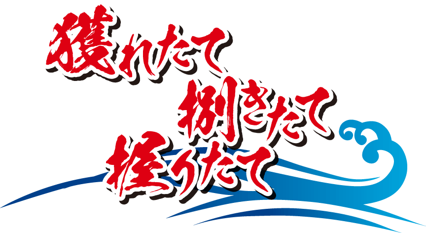 獲れたて！捌きたて！握りたて！