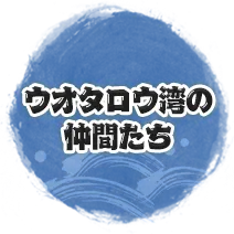 ウオタロウ湾の仲間たち