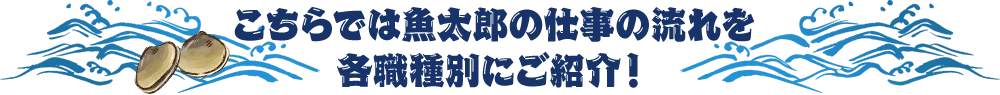 こちらでは魚太郎の仕事の流れを各職種別にご紹介！