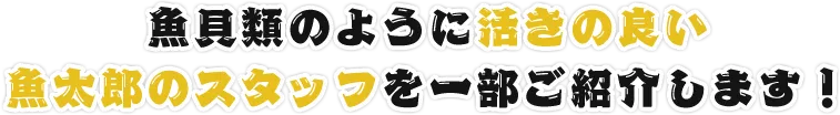 魚介類のように活きの良い 魚太郎のスタッフを一部ご紹介します！