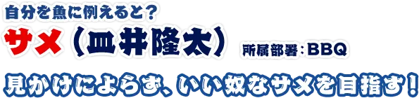 サメ（皿井隆太） 所属部署：BBQ 見かけによらず、いい奴なサメを目指す！