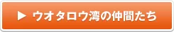 ウオタロウ湾の仲間たち