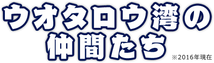 ウオタロウ湾の仲間たち