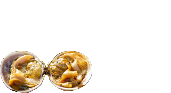 ゴールデンウィークはやっぱりバーベキュー