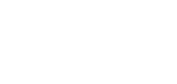 大人