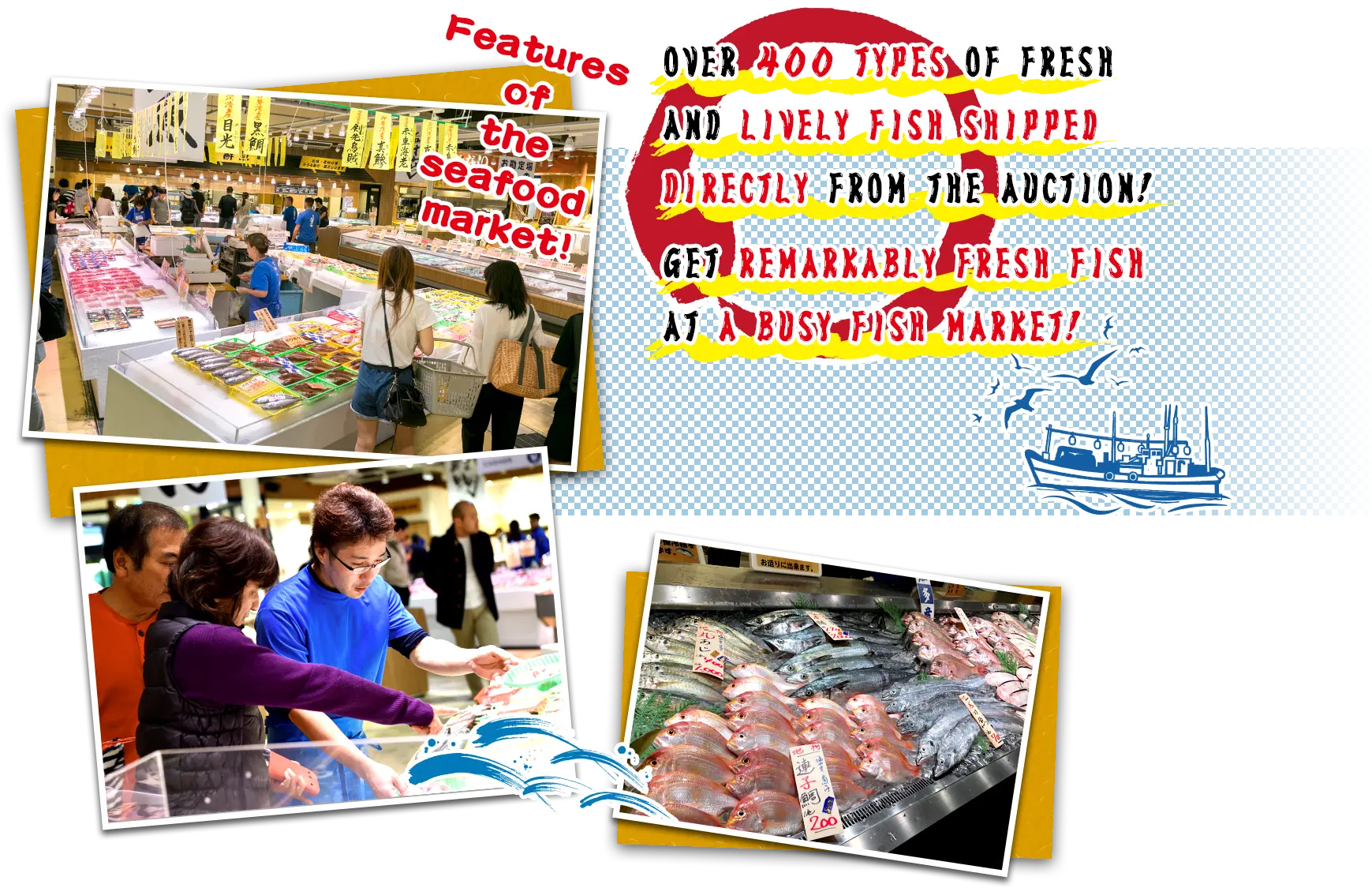 Features of the seafood market! OVER 400 TYPES OF FRESH AND LIVELY FISH SHIPPED DIRECTLY FROM THE AUCTION! GET REMARKABLY FRESH FISH AT A BUSY FISH MARKET!