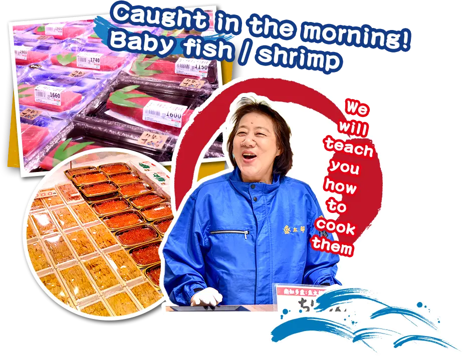 Caught in the morning! Baby fish / shrimp Bluefin tuna, sashimi shelves, fish roe We will teach you how to cook them
