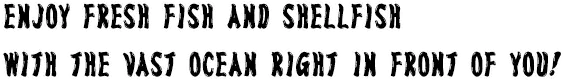 Enjoy fresh fish and shellfish  with the vast ocean right in front of you!