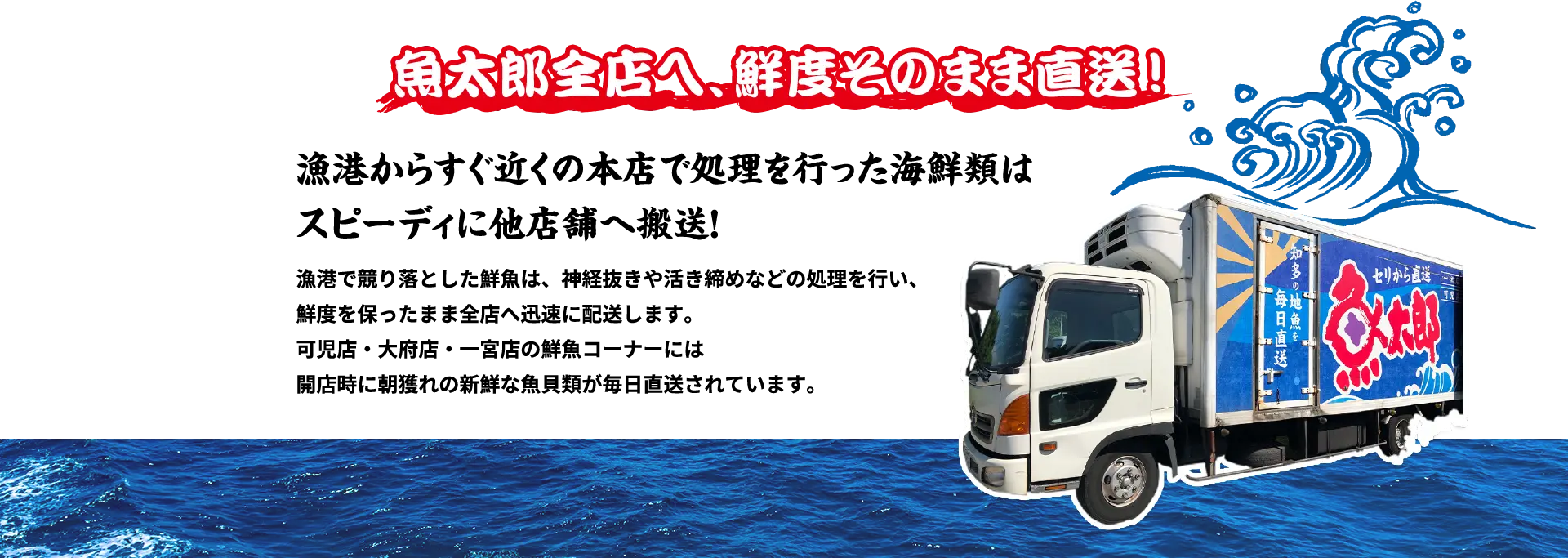 魚太郎全店へ、鮮度そのまま直送！漁港からすぐ近くの本店で処理を行った海鮮類はスピーディに他店舗へ搬送！漁港で競り落とした鮮魚は、神経抜きや活き締めなどの処理を行い、鮮度を保ったまま全店へ迅速に配送します。可児店・大府店・一宮店の鮮魚コーナーには開店時に朝獲れの新鮮な魚貝類が毎日直送されています。