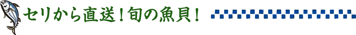 セリから直送！旬の魚貝！