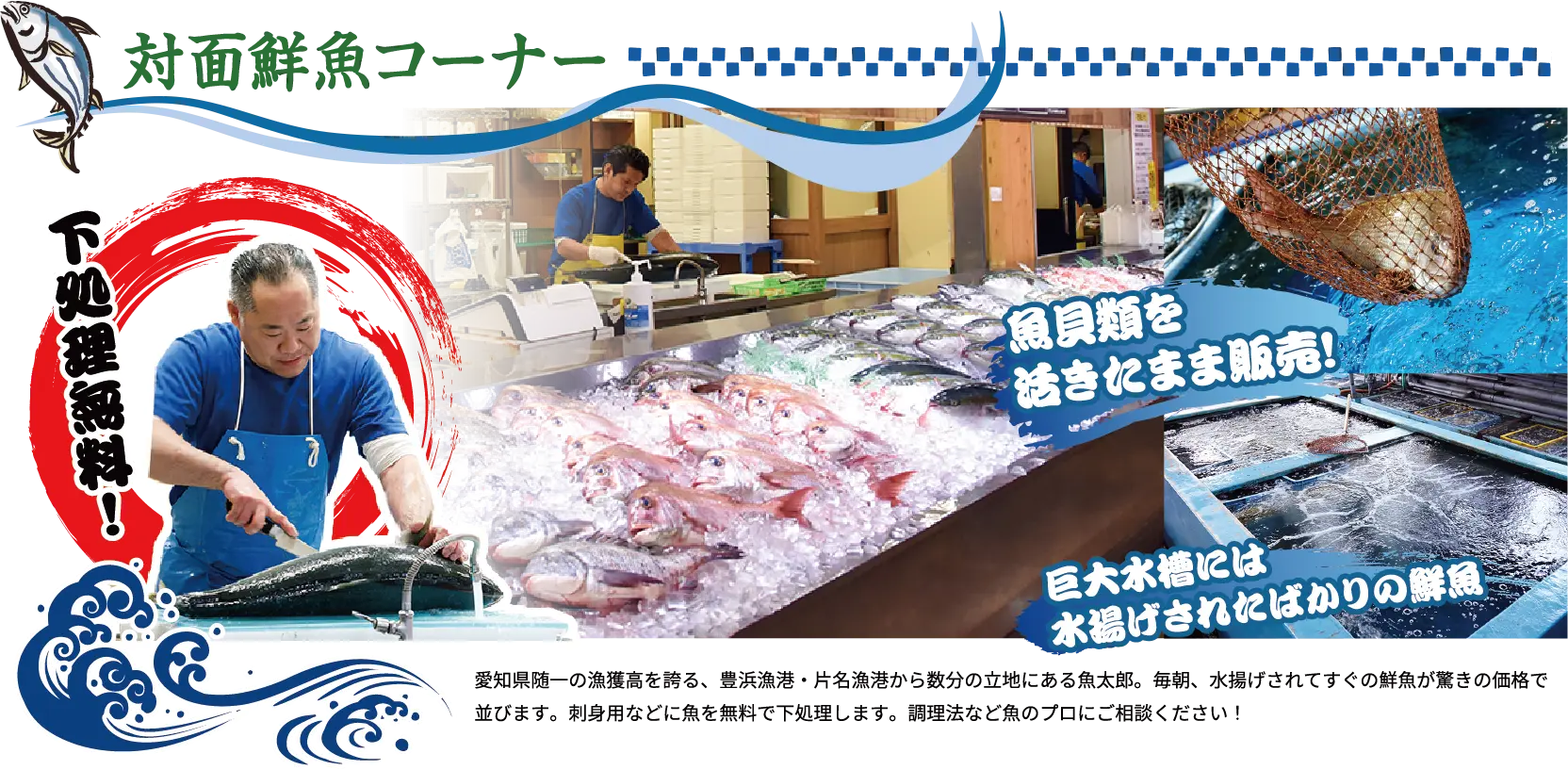 対面鮮魚コーナー 下処理無料！ 魚貝類を活きたまま販売！ 巨大水槽には水揚げされたばかりの鮮魚。 愛知県随一の漁獲高を誇る、豊浜漁港・片名漁港から数分の立地にある魚太郎。毎朝、水揚げされてすぐの鮮魚が驚きの価格で並びます。刺身用などに魚を無料で下処理します。調理法など魚のプロにご相談ください！