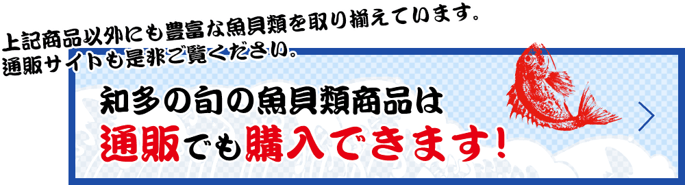 上記商品以外にも豊富な魚貝類を取り揃えています。通販サイトも是非ご覧ください。 知多の旬の魚貝類商品は 通販でも購入できます！