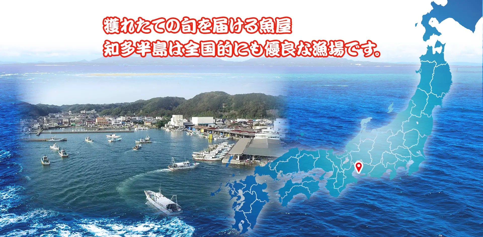 獲れたての旬を届ける魚屋知多半島は全国的にも優良な漁場です。