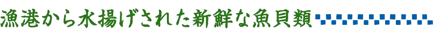 漁港から水揚げされた魚貝類