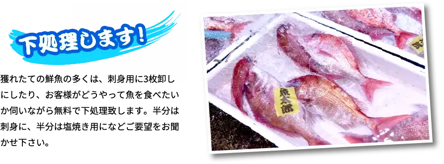 下処理します！ 獲れたての鮮魚の多くは、刺身用に3枚卸しにしたり、お客様がどうやって魚を食べたいか伺いながら無料で下処理致します。半分は刺身に、半分は塩焼き用になどご要望をお聞かせ下さい。