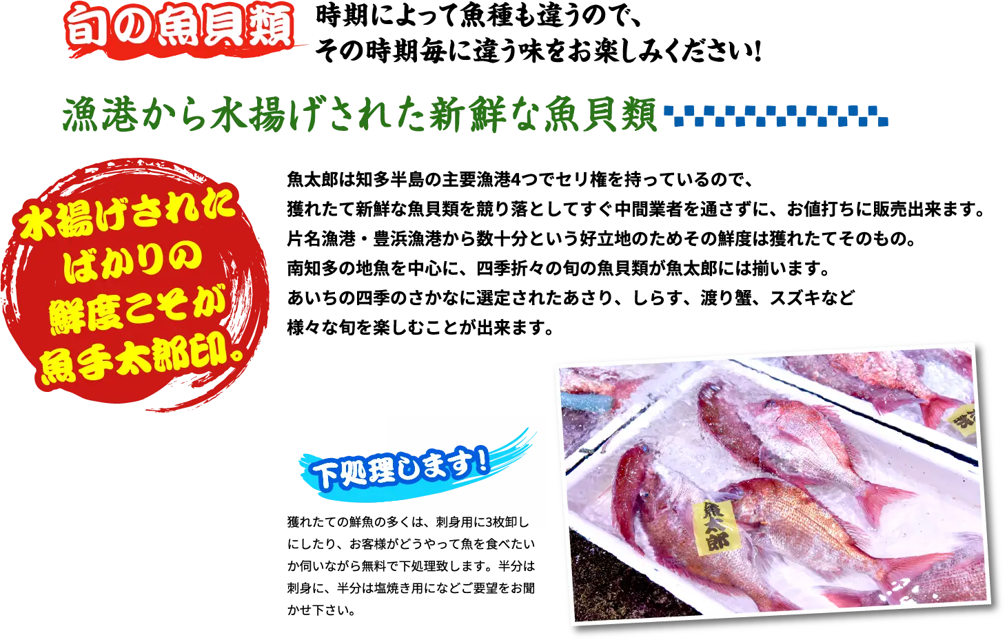 旬の魚貝類 時期によって魚種も違うので、その時期毎に違う味をお楽しみください！ 漁港から水揚げされた新鮮な魚貝類 水揚げされたばかりの鮮度こそが魚手太郎印。 魚太郎は知多半島の主要漁港4つでセリ権を持っているので、獲れたて新鮮な魚貝類を競り落としてすぐ中間業者を通さずに、お値打ちに販売出来ます。片名漁港・豊浜漁港から数十分という好立地のためその鮮度は獲れたてそのもの。南知多の地魚を中心に、四季折々の旬の魚貝類が魚太郎には揃います。あいちの四季のさかなに選定されたあさり、しらす、渡り蟹、スズキなど様々な旬を楽しむことが出来ます。 下処理します！ 獲れたての鮮魚の多くは、刺身用に3枚卸しにしたり、お客様がどうやって魚を食べたいか伺いながら無料で下処理致します。半分は刺身に、半分は塩焼き用になどご要望をお聞かせ下さい。