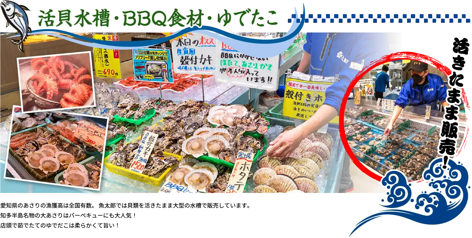 活貝水槽・BBQ食材・ゆでたこ 愛知県のあさりの漁獲高は全国有数。 魚太郎では貝類を活きたまま大型の水槽で販売しています。知多半島名物の大あさりはバーベキューにも大人気！店頭で茹でたてのゆでだこは柔らかくて旨い！
