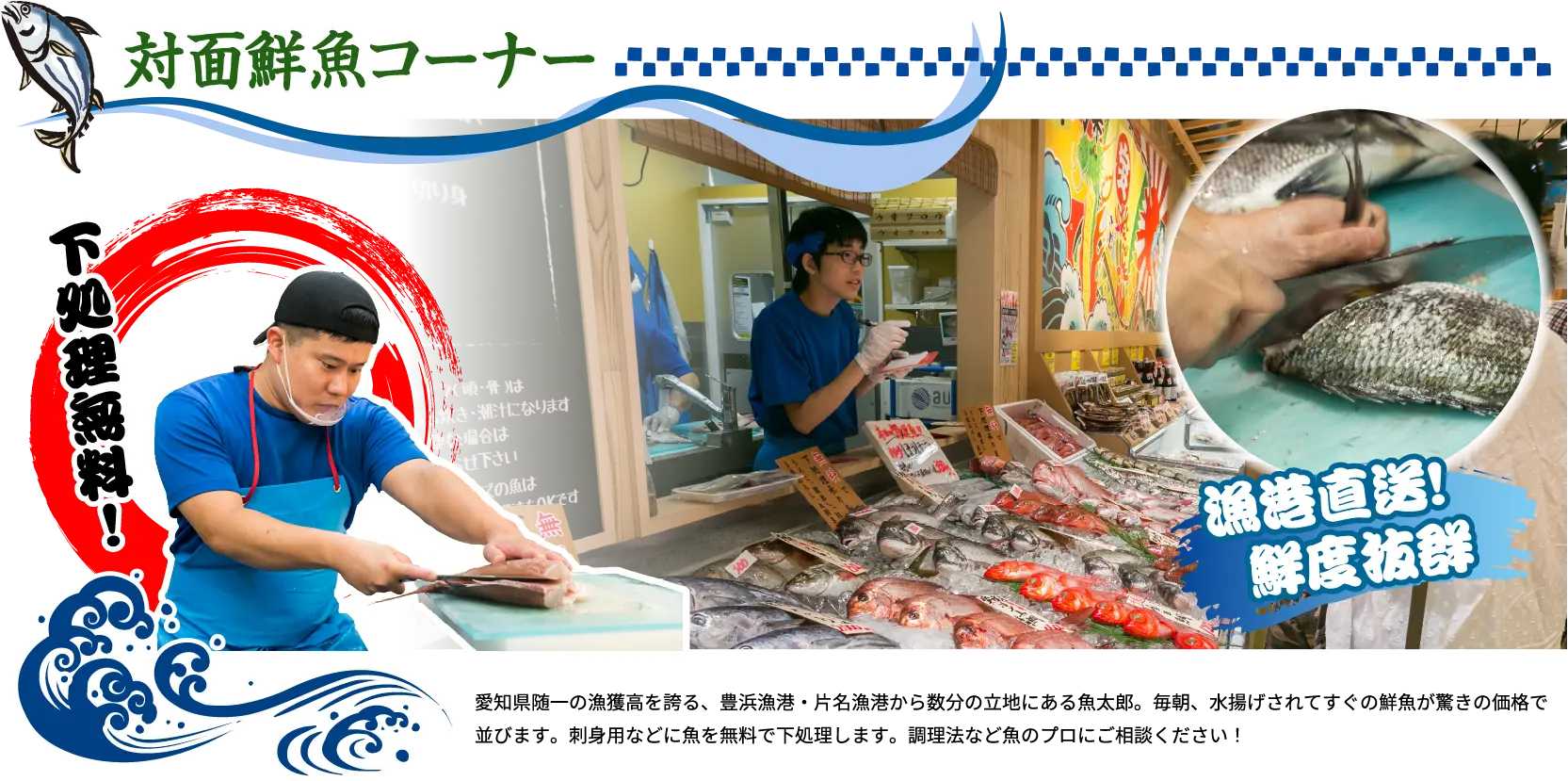 対面鮮魚コーナー 下処理無料！ 愛知県随一の漁獲高を誇る、豊浜漁港・片名漁港から数分の立地にある魚太郎。毎朝、水揚げされてすぐの鮮魚が驚きの価格で並びます。刺身用などに魚を無料で下処理します。調理法など魚のプロにご相談ください！