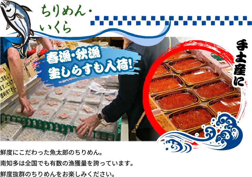 ちりめん・いくら 鮮度にこだわった魚太郎のちりめん。南知多は全国でも有数の漁獲量を誇っています。鮮度抜群のちりめんをお楽しみください。