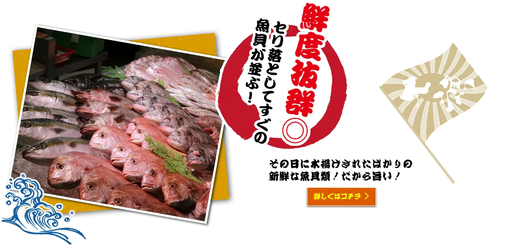 鮮度抜群◎セリ落としてすぐの魚貝が並ぶ！