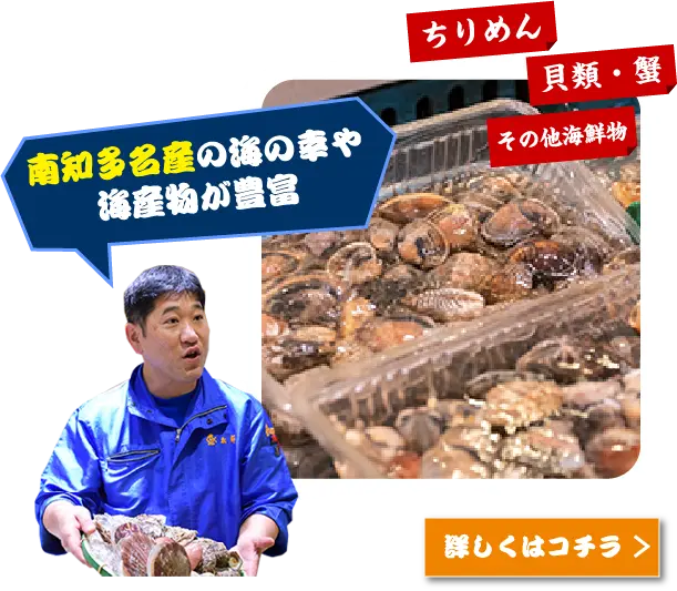 南知多名産の海の幸や海産物が豊富