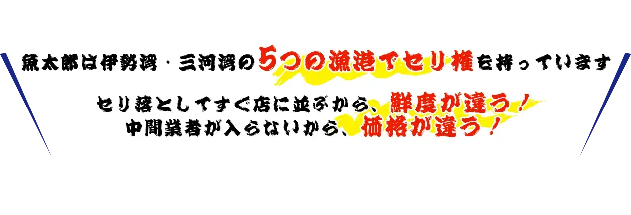 魚太郎は伊勢湾・三河湾の5つの漁港でセリ権を持っています。セリ落してすぐ店に並ぶから、鮮度が違う！中間業者が入らないから、価格が違う！