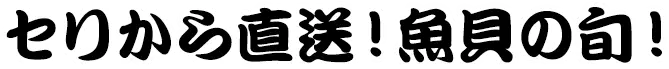 セリから直送！魚貝の旬！