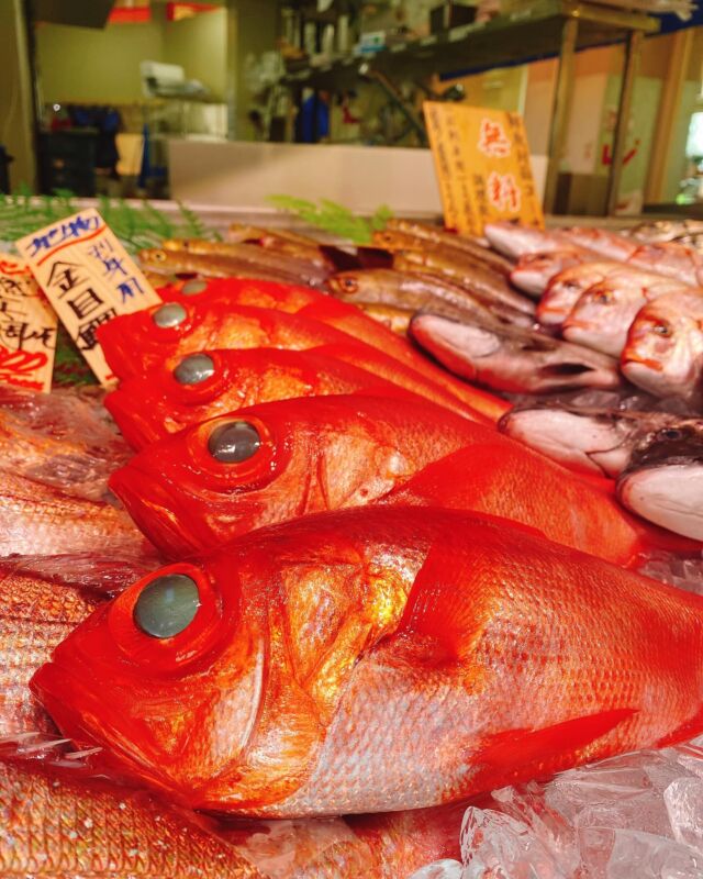 伊勢湾・三河湾は魚貝の宝庫、愛知県の主要漁港でセリ権を持つ俺たち。
ぴかぴかの魚貝類が水揚げ後すぐに魚市場に並びます！  ＼今日のおすすめ／
鮮度抜群の金目鯛だせ！
上品な甘さと適度な脂で大変美味❣️
刺身はもちろん煮付けでもオススメです‼️  お店は対面販売なので、どうやって魚を食べようか？下処理は？保存法は？
わからないことはお気軽に！　そんな疑問、全部魚太郎が解決します！  魚が捌けなくても大丈夫！
対面鮮魚コーナーでは無料で下処理行います。
毎日魚を扱うプロの魚屋にお任せ！  本日も沢山のピカピカの地魚と活気あふれるスタッフで
皆様のご来店をお待ちしております！  鮮魚市場に併設した、魚屋の浜焼きバーベキューがありますので
市場で買ってそのまま焼いて食べることが可能です！  最新入荷はストーリーズで配信中！
フォロー＆チェックしてくださいね！  皆様の「美味しい！」の声が、俺たちの元気の源です！  ▷入荷商品のお問合せは、お電話にてお願いします
▶その他お問合せDMではタイムリーな返答が致しかねます
体制が整っておらず、申し訳ありません🙇  -————————————————
📌ラグーナテンボス　フェスティバルマーケット内1F
店舗の場所は、観覧車の下が目印です🎡  🐟魚太郎ラグーナ蒲郡店 鮮魚市場
営業時間：　10：00～18：00
※海鮮丼・寿司のイートインコーナーあり  🔥魚太郎浜焼きバーベキュー ラグーナ蒲郡店
営業時間：
平日10:00～17:00(最終受付15:00)
土日祝　10：00～19：00(最終受付17:00)
土日祝は　19：00迄　延長中
駐車場：魚太郎浜焼きバーベキュー利用で最大5時間無料サービスあり
(夏休み　2025/7/19-8/31は）
10：00～20：00（受付最終18:00）
#魚太郎ラグーナ蒲郡店
#地魚
#鮮度にこだわる魚屋
#産直鮮魚
#蒲郡観光
#愛知海鮮
#金目鯛