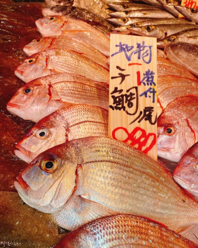 伊勢湾・三河湾は魚貝の宝庫、愛知県の主要漁港でセリ権を持つ俺たち。
ぴかぴかの魚貝類が水揚げ後すぐに魚市場に並びます！  ＼今日のおすすめ／
鮮度抜群のチダイだぜ！
上品で淡白な味わいですがほんのりと甘みがあります！！
塩焼きはもちろん煮付けや鯛めしにも出来るのでオススメです  お店は対面販売なので、どうやって魚を食べようか？下処理は？保存法は？
わからないことはお気軽に！　そんな疑問、全部魚太郎が解決します！  魚が捌けなくても大丈夫！
対面鮮魚コーナーでは無料で下処理行います。
毎日魚を扱うプロの魚屋にお任せ！  本日も沢山のピカピカの地魚と活気あふれるスタッフで
皆様のご来店をお待ちしております！  鮮魚市場に併設した、魚屋の浜焼きバーベキューがありますので
市場で買ってそのまま焼いて食べることが可能です！  最新入荷はストーリーズで配信中！
フォロー＆チェックしてくださいね！  皆様の「美味しい！」の声が、俺たちの元気の源です！  ▷入荷商品のお問合せは、お電話にてお願いします
▶その他お問合せDMではタイムリーな返答が致しかねます
体制が整っておらず、申し訳ありません🙇  -————————————————
📌ラグーナテンボス　フェスティバルマーケット内1F
店舗の場所は、観覧車の下が目印です🎡  🐟魚太郎ラグーナ蒲郡店 鮮魚市場
営業時間：　10：00～18：00
※海鮮丼・寿司のイートインコーナーあり  🔥魚太郎浜焼きバーベキュー ラグーナ蒲郡店
営業時間：
平日10:00～17:00(最終受付15:00)
土日祝　10：00～19：00(最終受付17:00)
土日祝は　19：00迄　延長中
駐車場：魚太郎浜焼きバーベキュー利用で最大5時間無料サービスあり
(夏休み　2025/7/19-8/31は）
10：00～20：00（受付最終18:00）
#魚太郎ラグーナ蒲郡店
#地魚
#鮮度にこだわる魚屋
#産直鮮魚
#蒲郡観光
#愛知海鮮
#チダイ