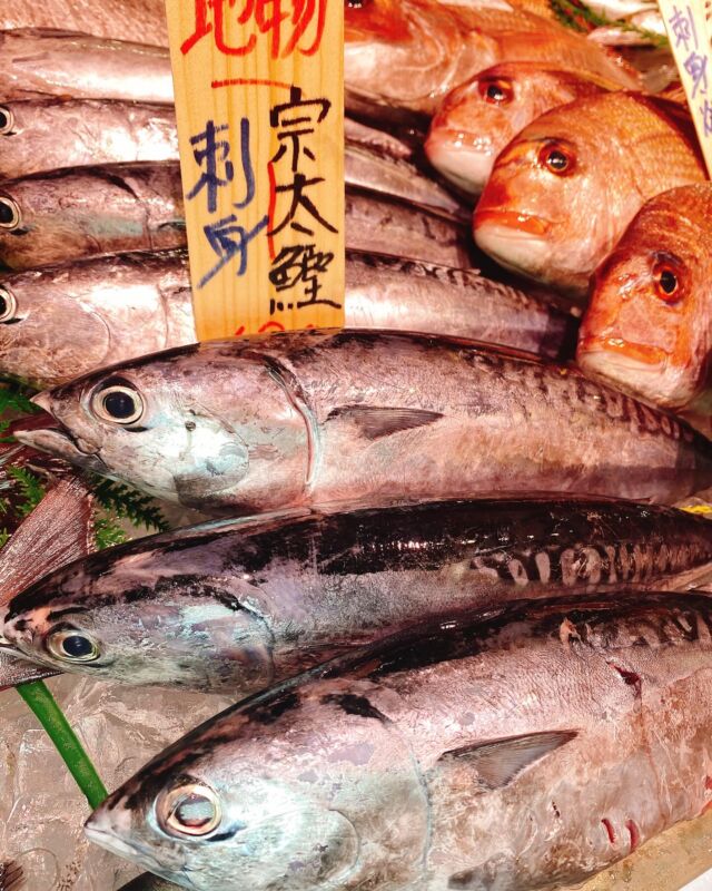 伊勢湾・三河湾は魚貝の宝庫、愛知県の主要漁港でセリ権を持つ俺たち。
ぴかぴかの魚貝類が水揚げ後すぐに魚市場に並びます！  ＼今日のおすすめ／
鮮度抜群のソウダガツオだぜ！
刺身はもちろん、竜田揚げにもできる！この時期になると愛知県の海で水揚げされます！もちもち食感をぜひ！  本日は豆アジ、キスなど小魚豊富でお値打ち！
豆アジは唐揚げも出してます！揚げたてをぜひ！  お店は対面販売なので、どうやって魚を食べようか？下処理は？保存法は？
わからないことはお気軽に！　そんな疑問、全部魚太郎が解決します！  魚が捌けなくても大丈夫！
対面鮮魚コーナーでは無料で下処理行います。
毎日魚を扱うプロの魚屋にお任せ！  本日も沢山のピカピカの地魚と活気あふれるスタッフで
皆様のご来店をお待ちしております！  鮮魚市場に併設した、魚屋の浜焼きバーベキューがありますので
市場で買ってそのまま焼いて食べることが可能です！  最新入荷はストーリーズで配信中！
フォロー＆チェックしてくださいね！  皆様の「美味しい！」の声が、俺たちの元気の源です！  ▷入荷商品のお問合せは、お電話にてお願いします
▶その他お問合せDMではタイムリーな返答が致しかねます
体制が整っておらず、申し訳ありません🙇  -————————————————
📌ラグーナテンボス　フェスティバルマーケット内1F
店舗の場所は、観覧車の下が目印です🎡  🐟魚太郎ラグーナ蒲郡店 鮮魚市場
営業時間：　10：00～18：00
※海鮮丼・寿司のイートインコーナーあり  🔥魚太郎浜焼きバーベキュー ラグーナ蒲郡店
営業時間：
平日10:00～17:00(最終受付15:00)
土日祝　10：00～19：00(最終受付17:00)
土日祝は　19：00迄　延長中
駐車場：魚太郎浜焼きバーベキュー利用で最大5時間無料サービスあり
(夏休み　2025/7/19-8/31は）
10：00～20：00（受付最終18:00）
#魚太郎ラグーナ蒲郡店
#地魚
#鮮度にこだわる魚屋
#産直鮮魚
#蒲郡観光
#愛知海鮮