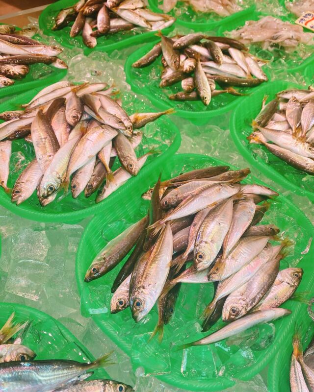 伊勢湾・三河湾は魚貝の宝庫、愛知県の主要漁港でセリ権を持つ俺たち。
ぴかぴかの魚貝類が水揚げ後すぐに魚市場に並びます！  ＼今日のおすすめ／
鮮度抜群の豆アジ　だぜ！！  唐揚げや南蛮漬けに最高のサイズ😃
頭から丸ごと食べれるよ！
栄誉も豊富な豆アジはお早めにどうぞ！  お店は対面販売なので、どうやって魚を食べようか？下処理は？保存法は？
わからないことはお気軽に！　そんな疑問、全部魚太郎が解決します！  魚が捌けなくても大丈夫！
対面鮮魚コーナーでは無料で下処理行います。
毎日魚を扱うプロの魚屋にお任せ！  本日も沢山のピカピカの地魚と活気あふれるスタッフで
皆様のご来店をお待ちしております！  鮮魚市場に併設した、魚屋の浜焼きバーベキューがありますので
市場で買ってそのまま焼いて食べることが可能です！  最新入荷はストーリーズで配信中！
フォロー＆チェックしてくださいね！  皆様の「美味しい！」の声が、俺たちの元気の源です！  ▷入荷商品のお問合せは、お電話にてお願いします
▶その他お問合せDMではタイムリーな返答が致しかねます
体制が整っておらず、申し訳ありません🙇  -————————————————
📌ラグーナテンボス　フェスティバルマーケット内1F
店舗の場所は、観覧車の下が目印です🎡  🐟魚太郎ラグーナ蒲郡店 鮮魚市場
営業時間：　10：00～18：00
※海鮮丼・寿司のイートインコーナーあり  🔥魚太郎浜焼きバーベキュー ラグーナ蒲郡店
営業時間：
平日10:00～17:00(最終受付15:00)
土日祝　10：00～19：00(最終受付17:00)
土日祝は　19：00迄　延長中
駐車場：魚太郎浜焼きバーベキュー利用で最大5時間無料サービスあり
(夏休み　2025/7/19-8/31は）
10：00～20：00（受付最終18:00）
#魚太郎ラグーナ蒲郡店
#地魚
#鮮度にこだわる魚屋
#産直鮮魚
#蒲郡観光
#豆アジ