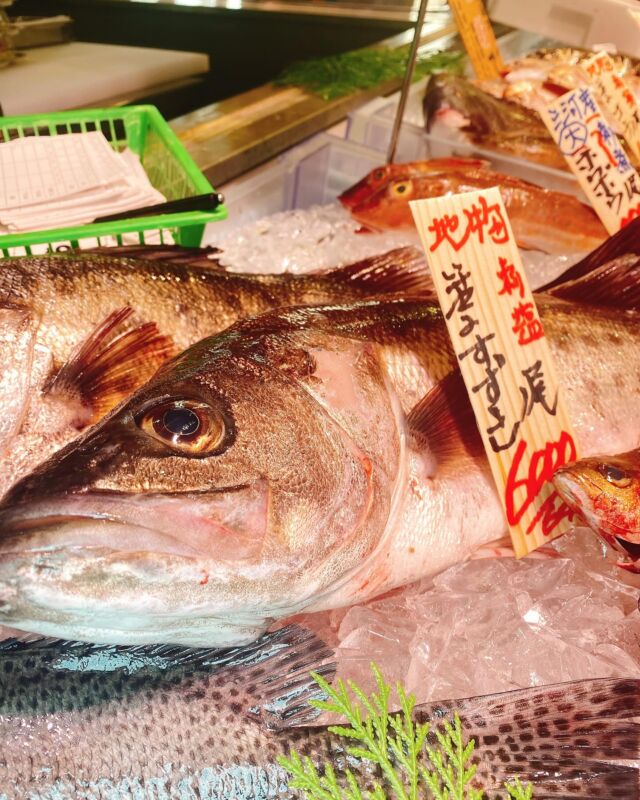 伊勢湾・三河湾は魚貝の宝庫、愛知県の主要漁港でセリ権を持つ俺たち。
ぴかぴかの魚貝類が水揚げ後すぐに魚市場に並びます！  ＼今日のおすすめ／
鮮度抜群のすずきだぜ！
脂肪分が少なく涼やかな料理がオススメ‼️
刺身はもちろん塩焼きや天ぷらなども美味しい😋  お店は対面販売なので、どうやって魚を食べようか？下処理は？保存法は？
わからないことはお気軽に！　そんな疑問、全部魚太郎が解決します！  魚が捌けなくても大丈夫！
対面鮮魚コーナーでは無料で下処理行います。
毎日魚を扱うプロの魚屋にお任せ！  本日も沢山のピカピカの地魚と活気あふれるスタッフで
皆様のご来店をお待ちしております！  鮮魚市場に併設した、魚屋の浜焼きバーベキューがありますので
市場で買ってそのまま焼いて食べることが可能です！  最新入荷はストーリーズで配信中！
フォロー＆チェックしてくださいね！  皆様の「美味しい！」の声が、俺たちの元気の源です！  ▷入荷商品のお問合せは、お電話にてお願いします
▶その他お問合せDMではタイムリーな返答が致しかねます
体制が整っておらず、申し訳ありません🙇  -————————————————
📌ラグーナテンボス　フェスティバルマーケット内1F
店舗の場所は、観覧車の下が目印です🎡  🐟魚太郎ラグーナ蒲郡店 鮮魚市場
営業時間：　10：00～18：00
※海鮮丼・寿司のイートインコーナーあり  🔥魚太郎浜焼きバーベキュー ラグーナ蒲郡店
営業時間：
平日10:00～17:00(最終受付15:00)
土日祝　10：00～19：00(最終受付17:00)
土日祝は　19：00迄　延長中
駐車場：魚太郎浜焼きバーベキュー利用で最大5時間無料サービスあり
(夏休み　2025/7/19-8/31は）
10：00～20：00（受付最終18:00）
#魚太郎ラグーナ蒲郡店
#地魚
#鮮度にこだわる魚屋
#産直鮮魚
#蒲郡観光
#愛知海鮮