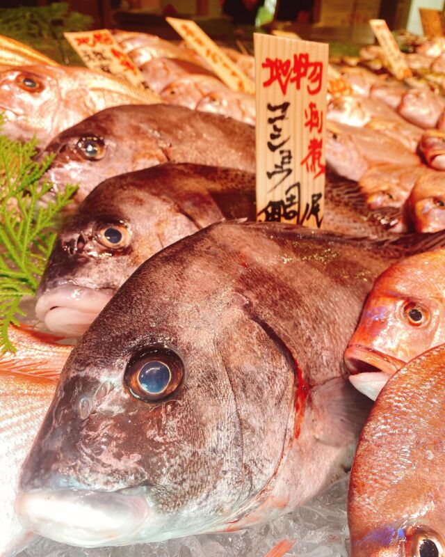 伊勢湾・三河湾は魚貝の宝庫、愛知県の主要漁港でセリ権を持つ俺たち。
ぴかぴかの魚貝類が水揚げ後すぐに魚市場に並びます！  ＼今日のおすすめ／
鮮度抜群のコショウ鯛だぜ！
この時期1番コリコリで美味しいです‼️
刺身はもちろん揚げ物でも美味しい❣️  お店は対面販売なので、どうやって魚を食べようか？下処理は？保存法は？
わからないことはお気軽に！　そんな疑問、全部魚太郎が解決します！  魚が捌けなくても大丈夫！
対面鮮魚コーナーでは無料で下処理行います。
毎日魚を扱うプロの魚屋にお任せ！  本日も沢山のピカピカの地魚と活気あふれるスタッフで
皆様のご来店をお待ちしております！  鮮魚市場に併設した、魚屋の浜焼きバーベキューがありますので
市場で買ってそのまま焼いて食べることが可能です！  最新入荷はストーリーズで配信中！
フォロー＆チェックしてくださいね！  皆様の「美味しい！」の声が、俺たちの元気の源です！  ▷入荷商品のお問合せは、お電話にてお願いします
▶その他お問合せDMではタイムリーな返答が致しかねます
体制が整っておらず、申し訳ありません🙇  -————————————————
📌ラグーナテンボス　フェスティバルマーケット内1F
店舗の場所は、観覧車の下が目印です🎡  🐟魚太郎ラグーナ蒲郡店 鮮魚市場
営業時間：　10：00～18：00
※海鮮丼・寿司のイートインコーナーあり  🔥魚太郎浜焼きバーベキュー ラグーナ蒲郡店
営業時間：
平日10:00～17:00(最終受付15:00)
土日祝　10：00～19：00(最終受付17:00)
土日祝は　19：00迄　延長中
駐車場：魚太郎浜焼きバーベキュー利用で最大5時間無料サービスあり
(夏休み　2025/7/19-8/31は）
10：00～20：00（受付最終18:00）
#魚太郎ラグーナ蒲郡店
#地魚
#鮮度にこだわる魚屋
#産直鮮魚
#蒲郡観光
#愛知海鮮
#コショウ鯛