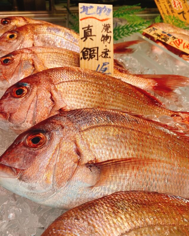 伊勢湾・三河湾は魚貝の宝庫、愛知県の主要漁港でセリ権を持つ俺たち。
ぴかぴかの魚貝類が水揚げ後すぐに魚市場に並びます！  ＼今日のおすすめ／
鮮度抜群の真鯛だぜ！
上品な旨みと適度な歯応えが特徴です！！
煮付けや塩焼き、鯛めしにも出来るのでオススメです‼️  お店は対面販売なので、どうやって魚を食べようか？下処理は？保存法は？
わからないことはお気軽に！　そんな疑問、全部魚太郎が解決します！  魚が捌けなくても大丈夫！
対面鮮魚コーナーでは無料で下処理行います。
毎日魚を扱うプロの魚屋にお任せ！  本日も沢山のピカピカの地魚と活気あふれるスタッフで
皆様のご来店をお待ちしております！  鮮魚市場に併設した、魚屋の浜焼きバーベキューがありますので
市場で買ってそのまま焼いて食べることが可能です！  最新入荷はストーリーズで配信中！
フォロー＆チェックしてくださいね！  皆様の「美味しい！」の声が、俺たちの元気の源です！  ▷入荷商品のお問合せは、お電話にてお願いします
▶その他お問合せDMではタイムリーな返答が致しかねます
体制が整っておらず、申し訳ありません🙇  -————————————————
📌ラグーナテンボス　フェスティバルマーケット内1F
店舗の場所は、観覧車の下が目印です🎡  🐟魚太郎ラグーナ蒲郡店 鮮魚市場
営業時間：　10：00～18：00
※海鮮丼・寿司のイートインコーナーあり  🔥魚太郎浜焼きバーベキュー ラグーナ蒲郡店
営業時間：
平日10:00～17:00(最終受付15:00)
土日祝　10：00～19：00(最終受付17:00)
土日祝は　19：00迄　延長中
駐車場：魚太郎浜焼きバーベキュー利用で最大5時間無料サービスあり
(夏休み　2025/7/19-8/31は）
10：00～20：00（受付最終18:00）
#魚太郎ラグーナ蒲郡店
#地魚
#鮮度にこだわる魚屋
#産直鮮魚
#蒲郡観光
#愛知海鮮
#真鯛