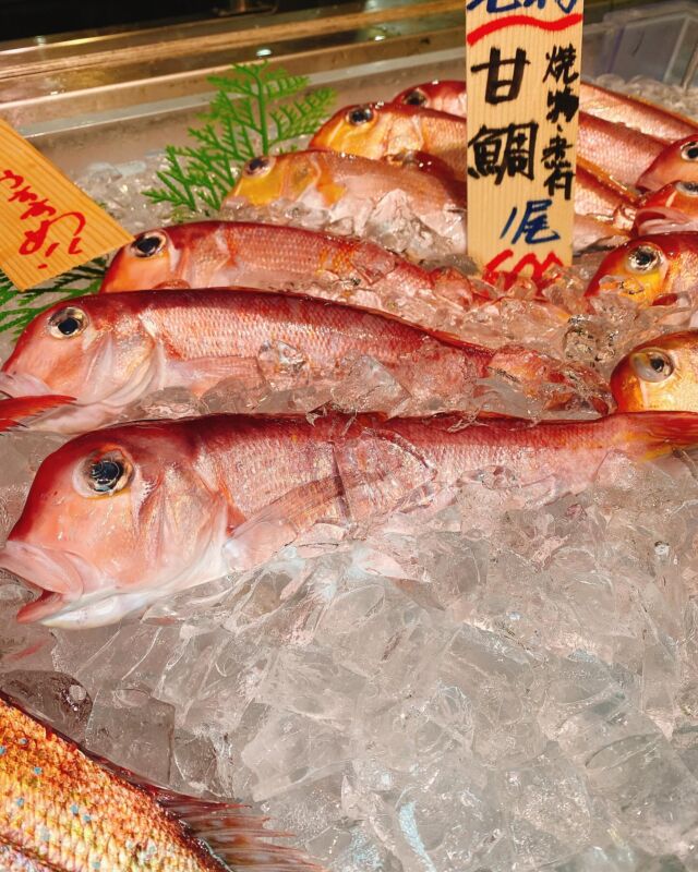 伊勢湾・三河湾は魚貝の宝庫、愛知県の主要漁港でセリ権を持つ俺たち。
ぴかぴかの魚貝類が水揚げ後すぐに魚市場に並びます！  ＼今日のおすすめ／
鮮度抜群の甘鯛だぜ！
一般的な鯛より甘みが強く身が柔らかい❣️
煮付けや蒸し料理オススメ‼️  お店は対面販売なので、どうやって魚を食べようか？下処理は？保存法は？
わからないことはお気軽に！　そんな疑問、全部魚太郎が解決します！  魚が捌けなくても大丈夫！
対面鮮魚コーナーでは無料で下処理行います。
毎日魚を扱うプロの魚屋にお任せ！  本日も沢山のピカピカの地魚と活気あふれるスタッフで
皆様のご来店をお待ちしております！  鮮魚市場に併設した、魚屋の浜焼きバーベキューがありますので
市場で買ってそのまま焼いて食べることが可能です！  最新入荷はストーリーズで配信中！
フォロー＆チェックしてくださいね！  皆様の「美味しい！」の声が、俺たちの元気の源です！  ▷入荷商品のお問合せは、お電話にてお願いします
▶その他お問合せDMではタイムリーな返答が致しかねます
体制が整っておらず、申し訳ありません🙇  -————————————————
📌ラグーナテンボス　フェスティバルマーケット内1F
店舗の場所は、観覧車の下が目印です🎡  🐟魚太郎ラグーナ蒲郡店 鮮魚市場
営業時間：　10：00～18：00
※海鮮丼・寿司のイートインコーナーあり  🔥魚太郎浜焼きバーベキュー ラグーナ蒲郡店
営業時間：
平日10:00～17:00(最終受付15:00)
土日祝　10：00～19：00(最終受付17:00)
土日祝は　19：00迄　延長中
駐車場：魚太郎浜焼きバーベキュー利用で最大5時間無料サービスあり
(夏休み　2025/7/19-8/31は）
10：00～20：00（受付最終18:00）
#魚太郎ラグーナ蒲郡店
#地魚
#鮮度にこだわる魚屋
#産直鮮魚
#蒲郡観光
#愛知海鮮
＃甘鯛