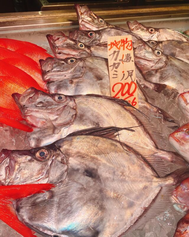 伊勢湾・三河湾は魚貝の宝庫、愛知県の主要漁港でセリ権を持つ俺たち。
ぴかぴかの魚貝類が水揚げ後すぐに魚市場に並びます！  ＼今日のおすすめ／
鮮度抜群のカガミダイだぜ！
旨味のある白身で食べやすい‼️
煮付けが1番オススメです😋  お店は対面販売なので、どうやって魚を食べようか？下処理は？保存法は？
わからないことはお気軽に！　そんな疑問、全部魚太郎が解決します！  魚が捌けなくても大丈夫！
対面鮮魚コーナーでは無料で下処理行います。
毎日魚を扱うプロの魚屋にお任せ！  本日も沢山のピカピカの地魚と活気あふれるスタッフで
皆様のご来店をお待ちしております！  鮮魚市場に併設した、魚屋の浜焼きバーベキューがありますので
市場で買ってそのまま焼いて食べることが可能です！  最新入荷はストーリーズで配信中！
フォロー＆チェックしてくださいね！  皆様の「美味しい！」の声が、俺たちの元気の源です！  ▷入荷商品のお問合せは、お電話にてお願いします
▶その他お問合せDMではタイムリーな返答が致しかねます
体制が整っておらず、申し訳ありません🙇  -————————————————
📌ラグーナテンボス　フェスティバルマーケット内1F
店舗の場所は、観覧車の下が目印です🎡  🐟魚太郎ラグーナ蒲郡店 鮮魚市場
営業時間：　10：00～18：00
※海鮮丼・寿司のイートインコーナーあり  🔥魚太郎浜焼きバーベキュー ラグーナ蒲郡店
営業時間：
平日10:00～17:00(最終受付15:00)
土日祝　10：00～19：00(最終受付17:00)
土日祝は　19：00迄　延長中
駐車場：魚太郎浜焼きバーベキュー利用で最大5時間無料サービスあり
(夏休み　2025/7/19-8/31は）
10：00～20：00（受付最終18:00）
#魚太郎ラグーナ蒲郡店
#地魚
#鮮度にこだわる魚屋
#産直鮮魚
#蒲郡観光
#愛知海鮮 
#カガミダイ