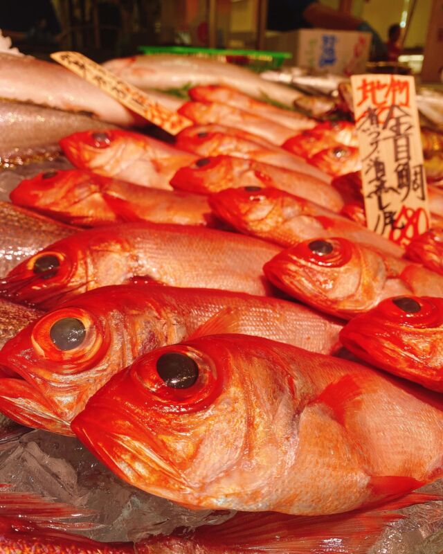 伊勢湾・三河湾は魚貝の宝庫、愛知県の主要漁港でセリ権を持つ俺たち。
ぴかぴかの魚貝類が水揚げ後すぐに魚市場に並びます！  ＼今日のおすすめ／
鮮度抜群の金目鯛だぜ！
上品な甘さと程よい脂乗りです！！
煮付けはもちろん酒蒸しでもオススメです‼️  お店は対面販売なので、どうやって魚を食べようか？下処理は？保存法は？
わからないことはお気軽に！　そんな疑問、全部魚太郎が解決します！  魚が捌けなくても大丈夫！
対面鮮魚コーナーでは無料で下処理行います。
毎日魚を扱うプロの魚屋にお任せ！  本日も沢山のピカピカの地魚と活気あふれるスタッフで
皆様のご来店をお待ちしております！  鮮魚市場に併設した、魚屋の浜焼きバーベキューがありますので
市場で買ってそのまま焼いて食べることが可能です！  最新入荷はストーリーズで配信中！
フォロー＆チェックしてくださいね！  皆様の「美味しい！」の声が、俺たちの元気の源です！  ▷入荷商品のお問合せは、お電話にてお願いします
▶その他お問合せDMではタイムリーな返答が致しかねます
体制が整っておらず、申し訳ありません🙇  -————————————————
📌ラグーナテンボス　フェスティバルマーケット内1F
店舗の場所は、観覧車の下が目印です🎡  🐟魚太郎ラグーナ蒲郡店 鮮魚市場
営業時間：　10：00～18：00
※海鮮丼・寿司のイートインコーナーあり  🔥魚太郎浜焼きバーベキュー ラグーナ蒲郡店
営業時間：
平日10:00～17:00(最終受付15:00)
土日祝　10：00～19：00(最終受付17:00)
土日祝は　19：00迄　延長中
駐車場：魚太郎浜焼きバーベキュー利用で最大5時間無料サービスあり
(夏休み　2025/7/19-8/31は）
10：00～20：00（受付最終18:00）
#魚太郎ラグーナ蒲郡店
#地魚
#鮮度にこだわる魚屋
#産直鮮魚
#蒲郡観光
#愛知海鮮