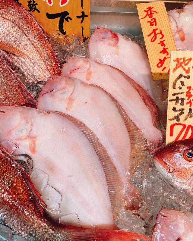 伊勢湾・三河湾は魚貝の宝庫、愛知県の主要漁港でセリ権を持つ俺たち。
ぴかぴかの魚貝類が水揚げ後すぐに魚市場に並びます！  ＼今日のおすすめ／
鮮度抜群のバンガレイだぜ！  朝獲れの鮮度抜群のカレイが入荷！
身もぷりぷりのカレイは、なかなか貴重ですよ♪
この機会にぜひ食べてみて！！  お店は対面販売なので、どうやって魚を食べようか？下処理は？保存法は？
わからないことはお気軽に！　そんな疑問、全部魚太郎が解決します！  魚が捌けなくても大丈夫！
対面鮮魚コーナーでは無料で下処理行います。
毎日魚を扱うプロの魚屋にお任せ！  本日も沢山のピカピカの地魚と活気あふれるスタッフで
皆様のご来店をお待ちしております！  鮮魚市場に併設した、魚屋の浜焼きバーベキューがありますので
市場で買ってそのまま焼いて食べることが可能です！  最新入荷はストーリーズで配信中！
フォロー＆チェックしてくださいね！  皆様の「美味しい！」の声が、俺たちの元気の源です！  ▷入荷商品のお問合せは、お電話にてお願いします
▶その他お問合せDMではタイムリーな返答が致しかねます
体制が整っておらず、申し訳ありません🙇  -————————————————
📌ラグーナテンボス　フェスティバルマーケット内1F
店舗の場所は、観覧車の下が目印です🎡  🐟魚太郎ラグーナ蒲郡店 鮮魚市場
営業時間：　10：00～18：00
※海鮮丼・寿司のイートインコーナーあり  🔥魚太郎浜焼きバーベキュー ラグーナ蒲郡店
営業時間：
平日10:00～17:00(最終受付15:00)
土日祝　10：00～19：00(最終受付17:00)
土日祝は　19：00迄　延長中
駐車場：魚太郎浜焼きバーベキュー利用で最大5時間無料サービスあり
(夏休み　2025/7/19-8/31は）
10：00～20：00（受付最終18:00）
#魚太郎ラグーナ蒲郡店
#地魚
#鮮度にこだわる魚屋
#産直鮮魚
#蒲郡観光
#バンガレイ