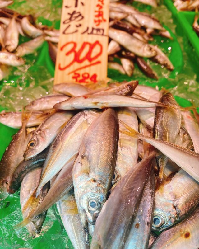 伊勢湾・三河湾は魚貝の宝庫、愛知県の主要漁港でセリ権を持つ俺たち。
ぴかぴかの魚貝類が水揚げ後すぐに魚市場に並びます！  ＼今日のおすすめ／
鮮度抜群の小アジだぜ！
頭ごと食べれて身がフワフワ❣️
唐揚げや南蛮漬けがオススメ‼️  お店は対面販売なので、どうやって魚を食べようか？下処理は？保存法は？
わからないことはお気軽に！　そんな疑問、全部魚太郎が解決します！  魚が捌けなくても大丈夫！
対面鮮魚コーナーでは無料で下処理行います。
毎日魚を扱うプロの魚屋にお任せ！  本日も沢山のピカピカの地魚と活気あふれるスタッフで
皆様のご来店をお待ちしております！  鮮魚市場に併設した、魚屋の浜焼きバーベキューがありますので
市場で買ってそのまま焼いて食べることが可能です！  最新入荷はストーリーズで配信中！
フォロー＆チェックしてくださいね！  皆様の「美味しい！」の声が、俺たちの元気の源です！  ▷入荷商品のお問合せは、お電話にてお願いします
▶その他お問合せDMではタイムリーな返答が致しかねます
体制が整っておらず、申し訳ありません🙇  -————————————————
📌ラグーナテンボス　フェスティバルマーケット内1F
店舗の場所は、観覧車の下が目印です🎡  🐟魚太郎ラグーナ蒲郡店 鮮魚市場
営業時間：　10：00～18：00
※海鮮丼・寿司のイートインコーナーあり  🔥魚太郎浜焼きバーベキュー ラグーナ蒲郡店
営業時間：
平日10:00～17:00(最終受付15:00)
土日祝　10：00～19：00(最終受付17:00)
土日祝は　19：00迄　延長中
駐車場：魚太郎浜焼きバーベキュー利用で最大5時間無料サービスあり
(夏休み　2025/7/19-8/31は）
10：00～20：00（受付最終18:00）
#魚太郎ラグーナ蒲郡店
#地魚
#鮮度にこだわる魚屋
#産直鮮魚
#蒲郡観光
#愛知海鮮