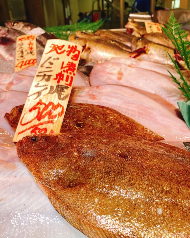 伊勢湾・三河湾は魚貝の宝庫、愛知県の主要漁港でセリ権を持つ俺たち。
ぴかぴかの魚貝類が水揚げ後すぐに魚市場に並びます！  ＼今日のおすすめ／
鮮度抜群のバンガレイだぜ！
身が締まっててさっぱりとした味わい‼️
刺身はもちろん煮付けや唐揚げもオススメ❣️  お店は対面販売なので、どうやって魚を食べようか？下処理は？保存法は？
わからないことはお気軽に！　そんな疑問、全部魚太郎が解決します！  魚が捌けなくても大丈夫！
対面鮮魚コーナーでは無料で下処理行います。
毎日魚を扱うプロの魚屋にお任せ！  本日も沢山のピカピカの地魚と活気あふれるスタッフで
皆様のご来店をお待ちしております！  鮮魚市場に併設した、魚屋の浜焼きバーベキューがありますので
市場で買ってそのまま焼いて食べることが可能です！  最新入荷はストーリーズで配信中！
フォロー＆チェックしてくださいね！  皆様の「美味しい！」の声が、俺たちの元気の源です！  ▷入荷商品のお問合せは、お電話にてお願いします
▶その他お問合せDMではタイムリーな返答が致しかねます
体制が整っておらず、申し訳ありません🙇  -————————————————
📌ラグーナテンボス　フェスティバルマーケット内1F
店舗の場所は、観覧車の下が目印です🎡  🐟魚太郎ラグーナ蒲郡店 鮮魚市場
営業時間：　10：00～18：00
※海鮮丼・寿司のイートインコーナーあり  🔥魚太郎浜焼きバーベキュー ラグーナ蒲郡店
営業時間：
平日10:00～17:00(最終受付15:00)
土日祝　10：00～19：00(最終受付17:00)
土日祝は　19：00迄　延長中
駐車場：魚太郎浜焼きバーベキュー利用で最大5時間無料サービスあり
(夏休み　2025/7/19-8/31は）
10：00～20：00（受付最終18:00）
#魚太郎ラグーナ蒲郡店
#地魚
#鮮度にこだわる魚屋
#産直鮮魚
#蒲郡観光
#愛知海鮮
＃バンガレイ