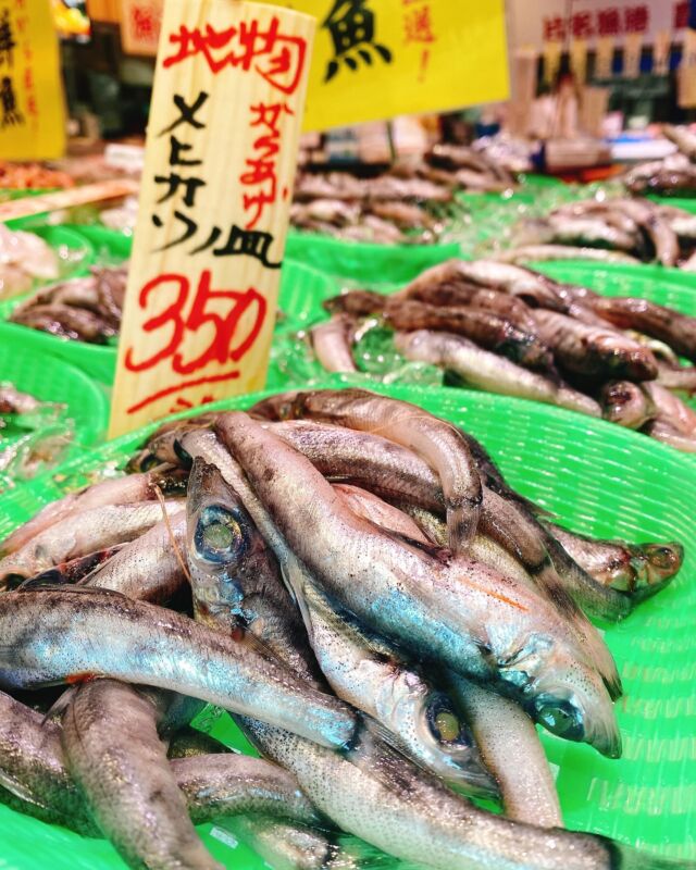 伊勢湾・三河湾は魚貝の宝庫、愛知県の主要漁港でセリ権を持つ俺たち。
ぴかぴかの魚貝類が水揚げ後すぐに魚市場に並びます！  ＼今日のおすすめ／
鮮度抜群のメヒカリだぜ！
身が柔らかく頭ごと食べれる‼️
唐揚げや南蛮漬けがオススメ❣️  お店は対面販売なので、どうやって魚を食べようか？下処理は？保存法は？
わからないことはお気軽に！　そんな疑問、全部魚太郎が解決します！  魚が捌けなくても大丈夫！
対面鮮魚コーナーでは無料で下処理行います。
毎日魚を扱うプロの魚屋にお任せ！  本日も沢山のピカピカの地魚と活気あふれるスタッフで
皆様のご来店をお待ちしております！  鮮魚市場に併設した、魚屋の浜焼きバーベキューがありますので
市場で買ってそのまま焼いて食べることが可能です！  最新入荷はストーリーズで配信中！
フォロー＆チェックしてくださいね！  皆様の「美味しい！」の声が、俺たちの元気の源です！  ▷入荷商品のお問合せは、お電話にてお願いします
▶その他お問合せDMではタイムリーな返答が致しかねます
体制が整っておらず、申し訳ありません🙇  -————————————————
📌ラグーナテンボス　フェスティバルマーケット内1F
店舗の場所は、観覧車の下が目印です🎡  🐟魚太郎ラグーナ蒲郡店 鮮魚市場
営業時間：　10：00～18：00
※海鮮丼・寿司のイートインコーナーあり  🔥魚太郎浜焼きバーベキュー ラグーナ蒲郡店
営業時間：
平日10:00～17:00(最終受付15:00)
土日祝　10：00～19：00(最終受付17:00)
土日祝は　19：00迄　延長中
駐車場：魚太郎浜焼きバーベキュー利用で最大5時間無料サービスあり
(夏休み　2025/7/19-8/31は）
10：00～20：00（受付最終18:00）
#魚太郎ラグーナ蒲郡店
#地魚
#鮮度にこだわる魚屋
#産直鮮魚
#蒲郡観光
#愛知海鮮
＃メヒカリ