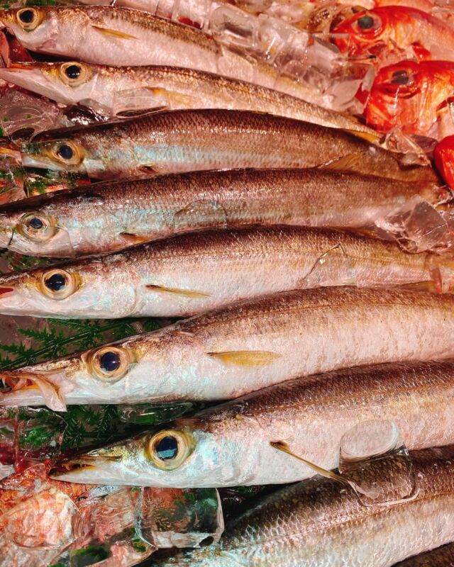 伊勢湾・三河湾は魚貝の宝庫、愛知県の主要漁港でセリ権を持つ俺たち。
ぴかぴかの魚貝類が水揚げ後すぐに魚市場に並びます！  ＼今日のおすすめ／
鮮度抜群の【活〆天然真鯛】だぜ！
【もっちもちで旨みたっぷり！鮮度がいいからコリコリの食感も味わます！刺身はもちろん、カルパッチョにも！】
【金目鯛】【本カマス】も入荷！
金目鯛は煮付け、本カマスはレモンを添えて塩焼きに！  お店は対面販売なので、どうやって魚を食べようか？下処理は？保存法は？
わからないことはお気軽に！　そんな疑問、全部魚太郎が解決します！  魚が捌けなくても大丈夫！
対面鮮魚コーナーでは無料で下処理行います。
毎日魚を扱うプロの魚屋にお任せ！  本日も沢山のピカピカの地魚と活気あふれるスタッフで
皆様のご来店をお待ちしております！  鮮魚市場に併設した、魚屋の浜焼きバーベキューがありますので
市場で買ってそのまま焼いて食べることが可能です！  最新入荷はストーリーズで配信中！
フォロー＆チェックしてくださいね！  皆様の「美味しい！」の声が、俺たちの元気の源です！  ▷入荷商品のお問合せは、お電話にてお願いします
▶その他お問合せDMではタイムリーな返答が致しかねます
体制が整っておらず、申し訳ありません🙇  -————————————————
📌ラグーナテンボス　フェスティバルマーケット内1F
店舗の場所は、観覧車の下が目印です🎡  🐟魚太郎ラグーナ蒲郡店 鮮魚市場
営業時間：　10：00～18：00
※海鮮丼・寿司のイートインコーナーあり  🔥魚太郎浜焼きバーベキュー ラグーナ蒲郡店
営業時間：
平日10:00～17:00(最終受付15:00)
土日祝　10：00～19：00(最終受付17:00)
土日祝は　19：00迄　延長中
駐車場：魚太郎浜焼きバーベキュー利用で最大5時間無料サービスあり
(夏休み　2025/7/19-8/31は）
10：00～20：00（受付最終18:00）
#魚太郎ラグーナ蒲郡店
#地魚
#鮮度にこだわる魚屋
#産直鮮魚
#蒲郡観光
#旬 
#魚を食べよう 
#愛知海鮮