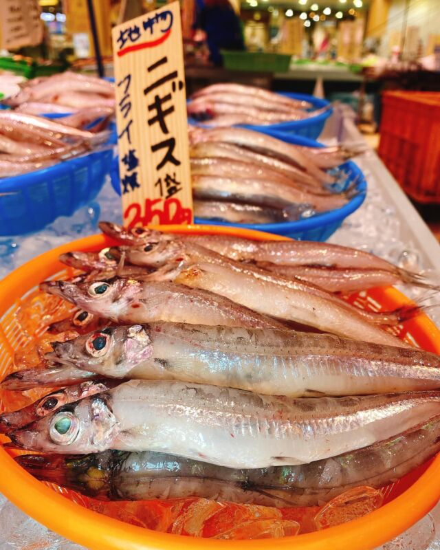 伊勢湾・三河湾は魚貝の宝庫、愛知県の主要漁港でセリ権を持つ俺たち。
ぴかぴかの魚貝類が水揚げ後すぐに魚市場に並びます！  ＼今日のおすすめ／
鮮度抜群のニギスだぜ！
クセがなくあっさりとした味わい！！
フライや天ぷらで食べるのがオススメ‼️  お店は対面販売なので、どうやって魚を食べようか？下処理は？保存法は？
わからないことはお気軽に！　そんな疑問、全部魚太郎が解決します！  魚が捌けなくても大丈夫！
対面鮮魚コーナーでは無料で下処理行います。
毎日魚を扱うプロの魚屋にお任せ！  本日も沢山のピカピカの地魚と活気あふれるスタッフで
皆様のご来店をお待ちしております！  鮮魚市場に併設した、魚屋の浜焼きバーベキューがありますので
市場で買ってそのまま焼いて食べることが可能です！  最新入荷はストーリーズで配信中！
フォロー＆チェックしてくださいね！  皆様の「美味しい！」の声が、俺たちの元気の源です！  ▷入荷商品のお問合せは、お電話にてお願いします
▶その他お問合せDMではタイムリーな返答が致しかねます
体制が整っておらず、申し訳ありません🙇  -————————————————
📌ラグーナテンボス　フェスティバルマーケット内1F
店舗の場所は、観覧車の下が目印です🎡  🐟魚太郎ラグーナ蒲郡店 鮮魚市場
営業時間：　10：00～18：00
※海鮮丼・寿司のイートインコーナーあり  🔥魚太郎浜焼きバーベキュー ラグーナ蒲郡店
営業時間：
平日10:00～17:00(最終受付15:00)
土日祝　10：00～19：00(最終受付17:00)
土日祝は　19：00迄　延長中
駐車場：魚太郎浜焼きバーベキュー利用で最大5時間無料サービスあり
(夏休み　2025/7/19-8/31は）
10：00～20：00（受付最終18:00）
#魚太郎ラグーナ蒲郡店
#地魚
#鮮度にこだわる魚屋
#産直鮮魚
#蒲郡観光
#愛知海鮮
#ニギス
