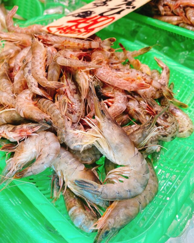 伊勢湾・三河湾は魚貝の宝庫、愛知県の主要漁港でセリ権を持つ俺たち。
ぴかぴかの魚貝類が水揚げ後すぐに魚市場に並びます！  ＼今日のおすすめ／
鮮度抜群のアカシャエビだぜ！
唐揚げにしたりかき揚げにして食べるのがオススメ‼️
パリパリして頭ごと食べれます❣️  お店は対面販売なので、どうやって魚を食べようか？下処理は？保存法は？
わからないことはお気軽に！　そんな疑問、全部魚太郎が解決します！  魚が捌けなくても大丈夫！
対面鮮魚コーナーでは無料で下処理行います。
毎日魚を扱うプロの魚屋にお任せ！  本日も沢山のピカピカの地魚と活気あふれるスタッフで
皆様のご来店をお待ちしております！  鮮魚市場に併設した、魚屋の浜焼きバーベキューがありますので
市場で買ってそのまま焼いて食べることが可能です！  最新入荷はストーリーズで配信中！
フォロー＆チェックしてくださいね！  皆様の「美味しい！」の声が、俺たちの元気の源です！  ▷入荷商品のお問合せは、お電話にてお願いします
▶その他お問合せDMではタイムリーな返答が致しかねます
体制が整っておらず、申し訳ありません🙇  -————————————————
📌ラグーナテンボス　フェスティバルマーケット内1F
店舗の場所は、観覧車の下が目印です🎡  🐟魚太郎ラグーナ蒲郡店 鮮魚市場
営業時間：　10：00～18：00
※海鮮丼・寿司のイートインコーナーあり  🔥魚太郎浜焼きバーベキュー ラグーナ蒲郡店
営業時間：
平日10:00～17:00(最終受付15:00)
土日祝　10：00～19：00(最終受付17:00)
土日祝は　19：00迄　延長中
駐車場：魚太郎浜焼きバーベキュー利用で最大5時間無料サービスあり
(夏休み　2025/7/19-8/31は）
10：00～20：00（受付最終18:00）
#魚太郎ラグーナ蒲郡店
#地魚
#鮮度にこだわる魚屋
#産直鮮魚
#蒲郡観光
#愛知海鮮