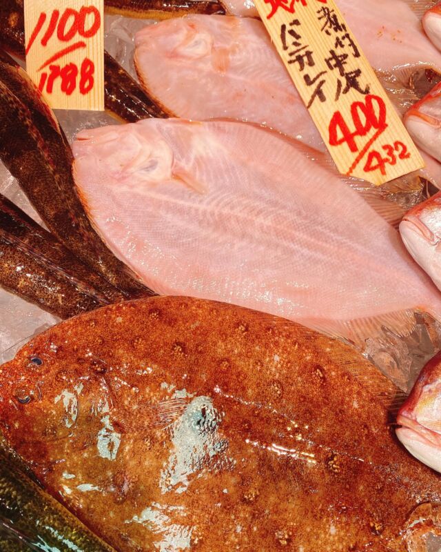 伊勢湾・三河湾は魚貝の宝庫、愛知県の主要漁港でセリ権を持つ俺たち。
ぴかぴかの魚貝類が水揚げ後すぐに魚市場に並びます！  ＼今日のおすすめ／
鮮度抜群のバンガレイだぜ！
こりこり食感で刺身が最高！形のおおきくなってきた今だからこそお刺身が食べれます！
肉厚な身は煮魚にしてもうまし！  大人気の豆アジも入荷！
唐揚げにしてお惣菜コーナーでお買い求めできます！
コイカも茹でたての販売も実施中！小魚がアツい！  お店は対面販売なので、どうやって魚を食べようか？下処理は？保存法は？
わからないことはお気軽に！　そんな疑問、全部魚太郎が解決します！  魚が捌けなくても大丈夫！
対面鮮魚コーナーでは無料で下処理行います。
毎日魚を扱うプロの魚屋にお任せ！  本日も沢山のピカピカの地魚と活気あふれるスタッフで
皆様のご来店をお待ちしております！  鮮魚市場に併設した、魚屋の浜焼きバーベキューがありますので
市場で買ってそのまま焼いて食べることが可能です！  最新入荷はストーリーズで配信中！
フォロー＆チェックしてくださいね！  皆様の「美味しい！」の声が、俺たちの元気の源です！  ▷入荷商品のお問合せは、お電話にてお願いします
▶その他お問合せDMではタイムリーな返答が致しかねます
体制が整っておらず、申し訳ありません🙇  -————————————————
📌ラグーナテンボス　フェスティバルマーケット内1F
店舗の場所は、観覧車の下が目印です🎡  🐟魚太郎ラグーナ蒲郡店 鮮魚市場
営業時間：　10：00～18：00
※海鮮丼・寿司のイートインコーナーあり  🔥魚太郎浜焼きバーベキュー ラグーナ蒲郡店
営業時間：
平日10:00～17:00(最終受付15:00)
土日祝　10：00～19：00(最終受付17:00)
土日祝は　19：00迄　延長中
駐車場：魚太郎浜焼きバーベキュー利用で最大5時間無料サービスあり
(夏休み　2025/7/19-8/31は）
10：00～20：00（受付最終18:00）
#魚太郎ラグーナ蒲郡店
#地魚
#鮮度にこだわる魚屋
#産直鮮魚
#蒲郡観光
#愛知海鮮