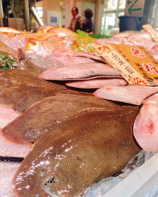 伊勢湾・三河湾は魚貝の宝庫、愛知県の主要漁港でセリ権を持つ俺たち。
ぴかぴかの魚貝類が水揚げ後すぐに魚市場に並びます！  ＼今日のおすすめ／
鮮度抜群の舌平目だぜ！
白身で淡白な味わいです！
ムニエルや煮付けがオススメです❣️  お店は対面販売なので、どうやって魚を食べようか？下処理は？保存法は？
わからないことはお気軽に！　そんな疑問、全部魚太郎が解決します！  魚が捌けなくても大丈夫！
対面鮮魚コーナーでは無料で下処理行います。
毎日魚を扱うプロの魚屋にお任せ！  本日も沢山のピカピカの地魚と活気あふれるスタッフで
皆様のご来店をお待ちしております！  鮮魚市場に併設した、魚屋の浜焼きバーベキューがありますので
市場で買ってそのまま焼いて食べることが可能です！  最新入荷はストーリーズで配信中！
フォロー＆チェックしてくださいね！  皆様の「美味しい！」の声が、俺たちの元気の源です！  ▷入荷商品のお問合せは、お電話にてお願いします
▶その他お問合せDMではタイムリーな返答が致しかねます
体制が整っておらず、申し訳ありません🙇  -————————————————
📌ラグーナテンボス　フェスティバルマーケット内1F
店舗の場所は、観覧車の下が目印です🎡  🐟魚太郎ラグーナ蒲郡店 鮮魚市場
営業時間：　10：00～18：00
※海鮮丼・寿司のイートインコーナーあり  🔥魚太郎浜焼きバーベキュー ラグーナ蒲郡店
営業時間：
平日10:00～17:00(最終受付15:00)
土日祝　10：00～19：00(最終受付17:00)
土日祝は　19：00迄　延長中
駐車場：魚太郎浜焼きバーベキュー利用で最大5時間無料サービスあり
(夏休み　2025/7/19-8/31は）
10：00～20：00（受付最終18:00）
#魚太郎ラグーナ蒲郡店
#地魚
#鮮度にこだわる魚屋
#産直鮮魚
#蒲郡観光
#愛知海鮮
#舌平目