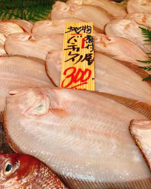 伊勢湾・三河湾は魚貝の宝庫、愛知県の主要漁港でセリ権を持つ俺たち。
ぴかぴかの魚貝類が水揚げ後すぐに魚市場に並びます！  ＼今日のおすすめ／
鮮度抜群のバンガレイだぜ！
ヒラメに似た旨みと甘みがあるお魚です❣️
煮付けやムニエルがオススメの食べ方です‼️  お店は対面販売なので、どうやって魚を食べようか？下処理は？保存法は？
わからないことはお気軽に！　そんな疑問、全部魚太郎が解決します！  魚が捌けなくても大丈夫！
対面鮮魚コーナーでは無料で下処理行います。
毎日魚を扱うプロの魚屋にお任せ！  本日も沢山のピカピカの地魚と活気あふれるスタッフで
皆様のご来店をお待ちしております！  鮮魚市場に併設した、魚屋の浜焼きバーベキューがありますので
市場で買ってそのまま焼いて食べることが可能です！  最新入荷はストーリーズで配信中！
フォロー＆チェックしてくださいね！  皆様の「美味しい！」の声が、俺たちの元気の源です！  ▷入荷商品のお問合せは、お電話にてお願いします
▶その他お問合せDMではタイムリーな返答が致しかねます
体制が整っておらず、申し訳ありません🙇  -————————————————
📌ラグーナテンボス　フェスティバルマーケット内1F
店舗の場所は、観覧車の下が目印です🎡  🐟魚太郎ラグーナ蒲郡店 鮮魚市場
営業時間：　10：00～18：00
※海鮮丼・寿司のイートインコーナーあり  🔥魚太郎浜焼きバーベキュー ラグーナ蒲郡店
営業時間：
平日10:00～17:00(最終受付15:00)
土日祝　10：00～19：00(最終受付17:00)
土日祝は　19：00迄　延長中
駐車場：魚太郎浜焼きバーベキュー利用で最大5時間無料サービスあり
(夏休み　2025/7/19-8/31は）
10：00～20：00（受付最終18:00）
#魚太郎ラグーナ蒲郡店
#地魚
#鮮度にこだわる魚屋
#産直鮮魚
#蒲郡観光
#愛知海鮮
#バンガレイ