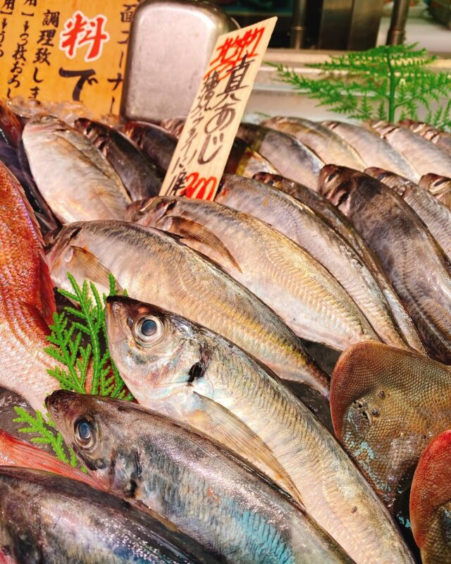 伊勢湾・三河湾は魚貝の宝庫、愛知県の主要漁港でセリ権を持つ俺たち。
ぴかぴかの魚貝類が水揚げ後すぐに魚市場に並びます！  ＼今日のおすすめ／
鮮度抜群の真アジだぜ！
旨みが豊富で脂乗りよく大変美味しいです‼️
塩焼きや煮付け、フライでもオススメです❣️  お店は対面販売なので、どうやって魚を食べようか？下処理は？保存法は？
わからないことはお気軽に！　そんな疑問、全部魚太郎が解決します！  魚が捌けなくても大丈夫！
対面鮮魚コーナーでは無料で下処理行います。
毎日魚を扱うプロの魚屋にお任せ！  本日も沢山のピカピカの地魚と活気あふれるスタッフで
皆様のご来店をお待ちしております！  鮮魚市場に併設した、魚屋の浜焼きバーベキューがありますので
市場で買ってそのまま焼いて食べることが可能です！  最新入荷はストーリーズで配信中！
フォロー＆チェックしてくださいね！  皆様の「美味しい！」の声が、俺たちの元気の源です！  ▷入荷商品のお問合せは、お電話にてお願いします
▶その他お問合せDMではタイムリーな返答が致しかねます
体制が整っておらず、申し訳ありません🙇  -————————————————
📌ラグーナテンボス　フェスティバルマーケット内1F
店舗の場所は、観覧車の下が目印です🎡  🐟魚太郎ラグーナ蒲郡店 鮮魚市場
営業時間：　10：00～18：00
※海鮮丼・寿司のイートインコーナーあり  🔥魚太郎浜焼きバーベキュー ラグーナ蒲郡店
営業時間：
平日10:00～17:00(最終受付15:00)
土日祝　10：00～19：00(最終受付17:00)
土日祝は　19：00迄　延長中
駐車場：魚太郎浜焼きバーベキュー利用で最大5時間無料サービスあり
(夏休み　2025/7/19-8/31は）
10：00～20：00（受付最終18:00）
#魚太郎ラグーナ蒲郡店
#地魚
#鮮度にこだわる魚屋
#産直鮮魚
#蒲郡観光
#愛知海鮮